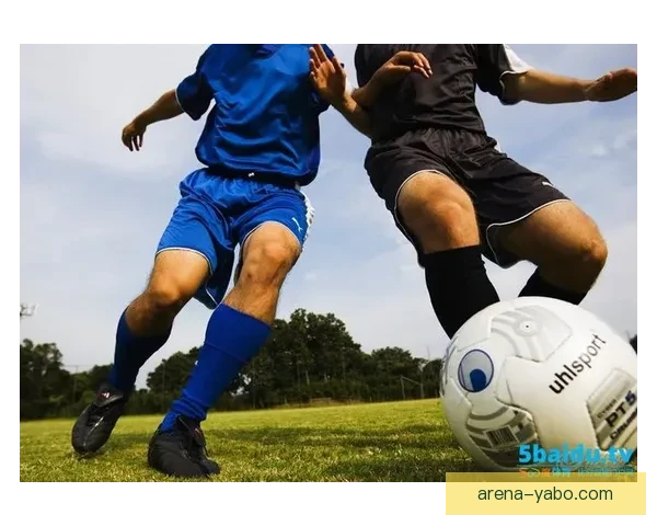 世界杯竞猜赛事推荐全面分析 预测热门赛事看点与投注策略